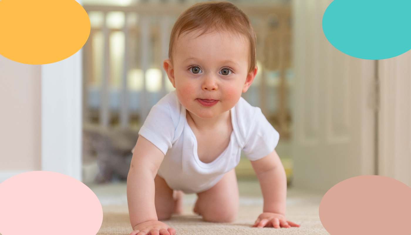 ventanas bebé 8 meses